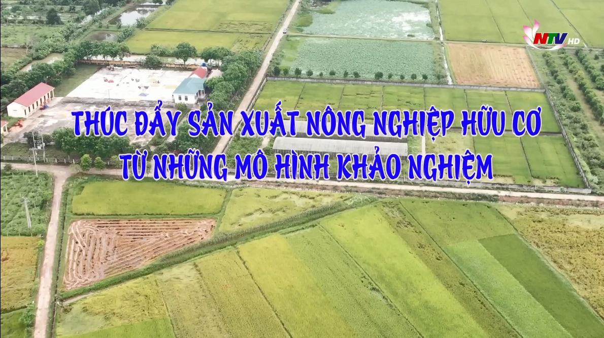 Phóng sự: Thúc đẩy sản xuất nông nghiệp hữu cơ từ những mô hình khảo nghiệm