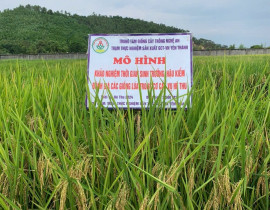 55-CM2-MH-khao-nghiem-TGST-2.jpg