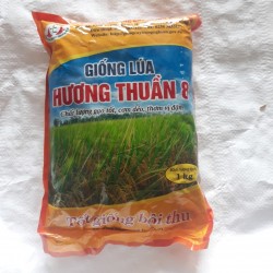 Lúa Hương Thuần 8