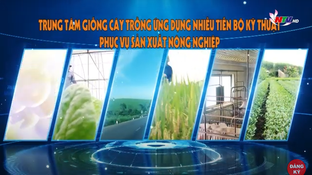 Phóng sự: Trung tâm Giống cây trồng ứng dụng nhiều tiến bộ kỹ thuật phục vụ sản xuất nông nghiệp.