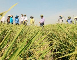 Hinh-anh-kiem-tra-mo-hinh-khao-nghiem-vu-xuan-2021.jpg